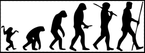 EVOLUTION "Human evolution scheme" by M. Garde - Self work (Original by: José-Manuel Benitos). Licensed under CC BY-SA 3.0 via Wikimedia Commons.